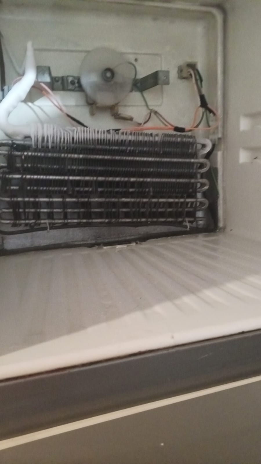 WhatsApp Image 2025-10-22 at 8.54.09 AM